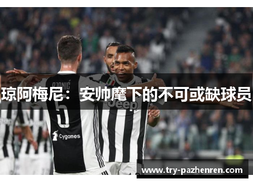 琼阿梅尼：安帅麾下的不可或缺球员