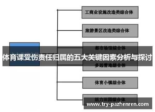 体育课受伤责任归属的五大关键因素分析与探讨