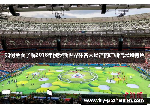 如何全面了解2018年俄罗斯世界杯各大场馆的详细信息和特色