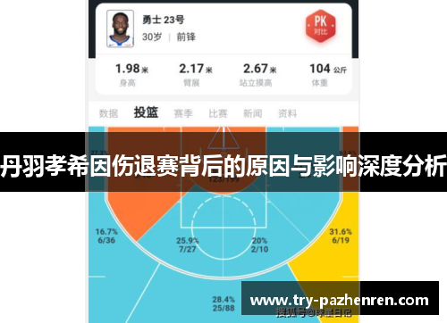 丹羽孝希因伤退赛背后的原因与影响深度分析