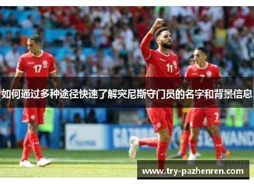 如何通过多种途径快速了解突尼斯守门员的名字和背景信息