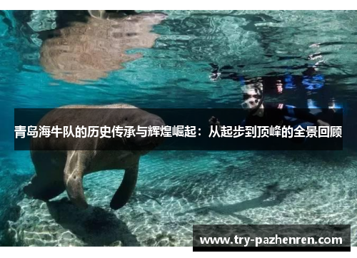 青岛海牛队的历史传承与辉煌崛起：从起步到顶峰的全景回顾