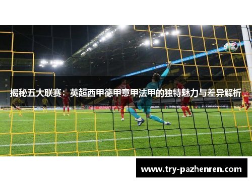 揭秘五大联赛：英超西甲德甲意甲法甲的独特魅力与差异解析