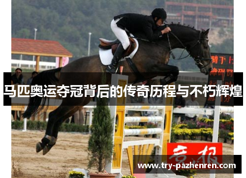 马匹奥运夺冠背后的传奇历程与不朽辉煌