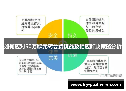 如何应对50万欧元转会费挑战及相应解决策略分析 如何应对50万欧元转会费挑战及相应解决策略分析