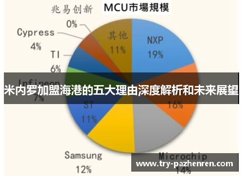 米内罗加盟海港的五大理由深度解析和未来展望